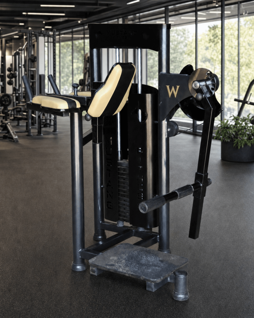 Gluteos_3pol_WongFitness