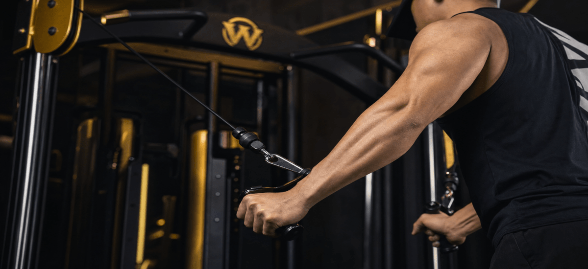 Wong Fitness